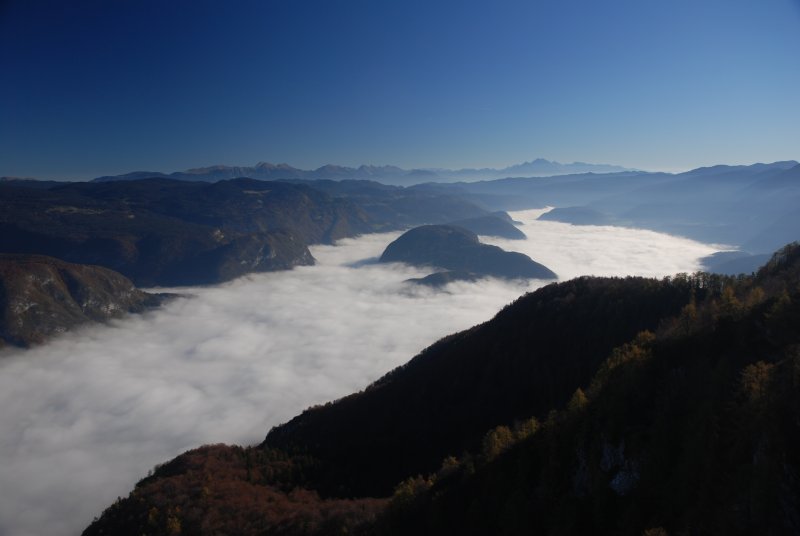 Mist In The Bohinj Valley